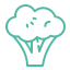 icons8-broccoli-64